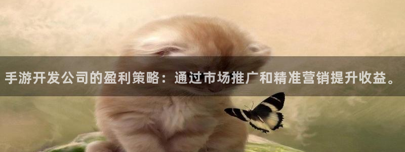 神奇的公式庄闲庄庄闲我来教教你怎么赢：手游开发公司的盈利策略
