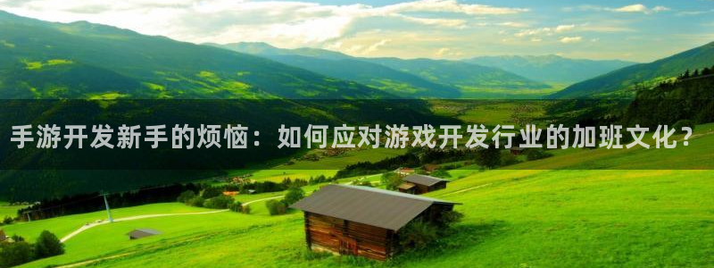 庄闲游戏单机版：手游开发新手的烦恼：如何应对游戏开发行业的加