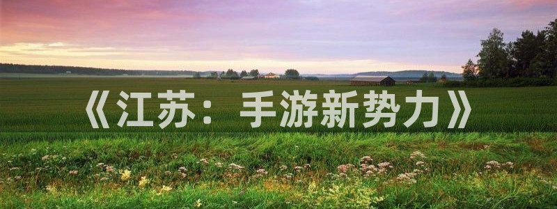 庄闲游戏输赢规则：《江苏：手游新势力》