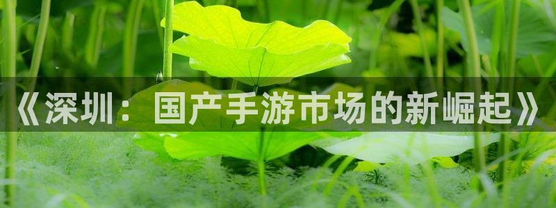 庄闲玩法麻将：《深圳：国产手游市场的新崛起》