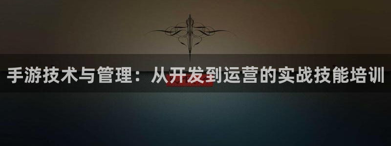 庄闲游戏那个正规：手游技术与管理：从开发到运营的实战技能培训