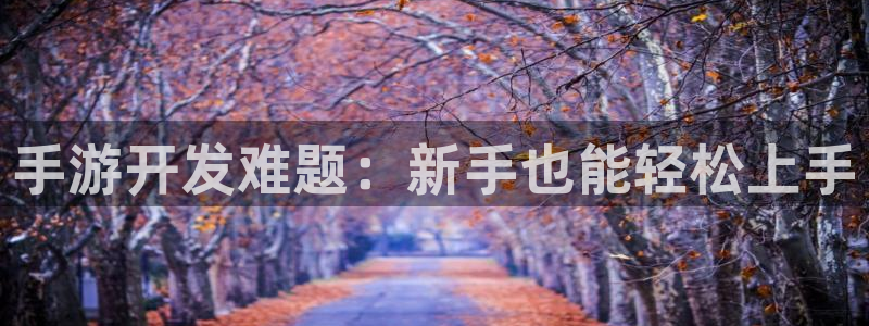 庄闲最稳公式：手游开发难题：新手也能轻松上手