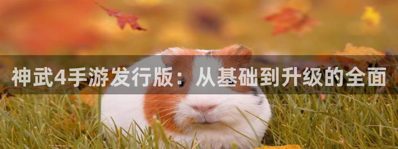 庄闲玩法麻将：神武4手游发行版：从基础到升级的全面