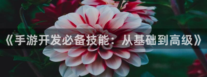 庄闲玩法幸运6：《手游开发必备技能：从基础到高级》