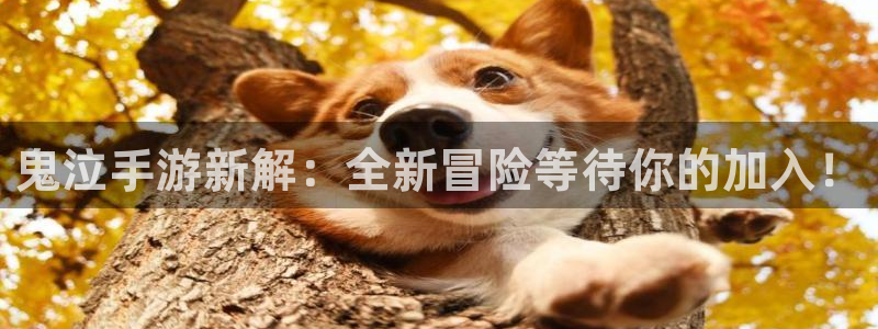 庄闲游戏版本：鬼泣手游新解：全新冒险等待你的加入！