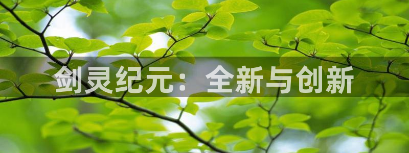 庄闲玩法规则讲解：剑灵纪元：全新与创新
