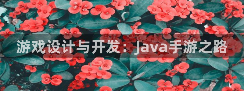 庄闲游戏名称：游戏设计与开发：Java手游之路