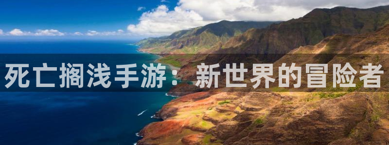 庄闲和游戏网站：死亡搁浅手游：新世界的冒险者