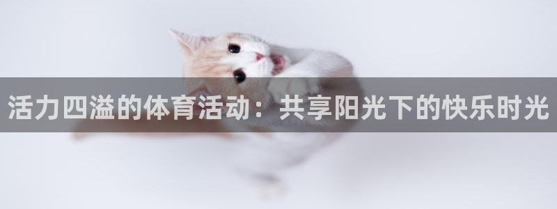 哈哈体育下载