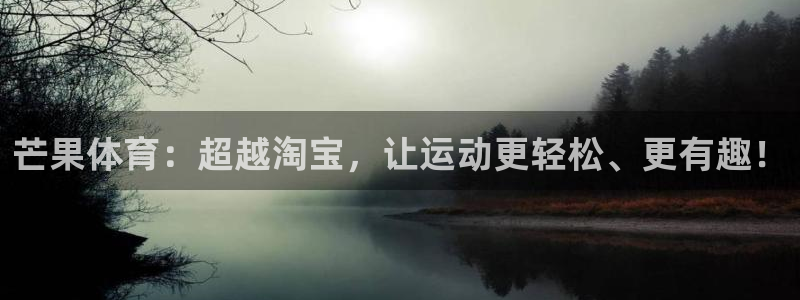 哈哈体育十年