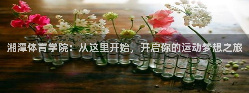 哈哈体育下载