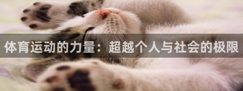 哈哈体育十年