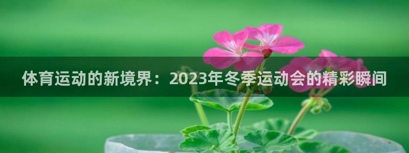 哈哈体育下载