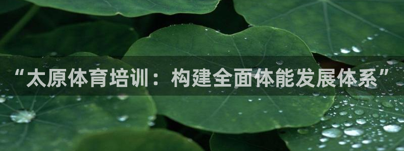 哈哈体育下载