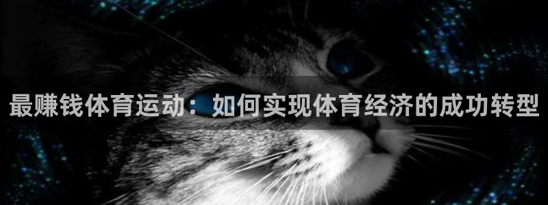 哈哈体育十年