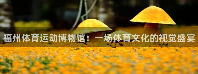 哈哈体育十年