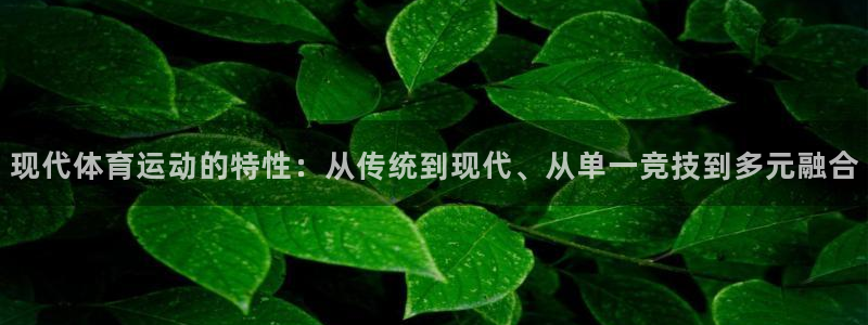 哈哈体育