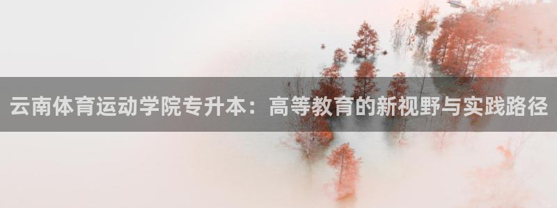 哈哈体育十年