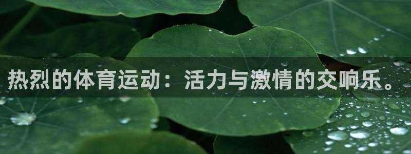 哈哈体育下载