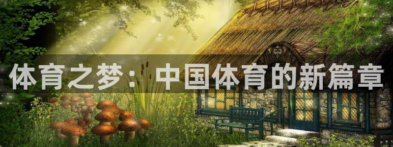 哈哈体育