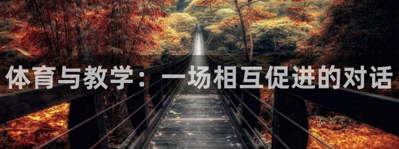 哈哈体育十年