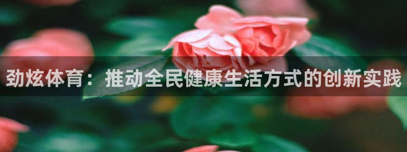 哈哈体育下载