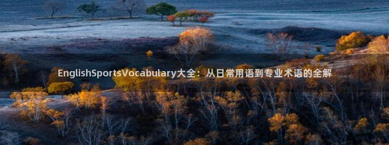 哈哈体育