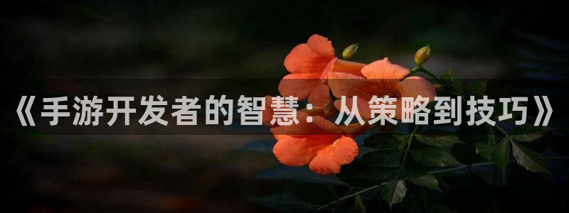 庄闲推算软件安卓：《手游开发者的智慧：从策略到技巧》